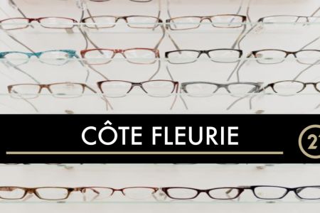 Galerie photo de l'annonce