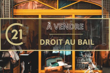 Galerie photo de l'annonce