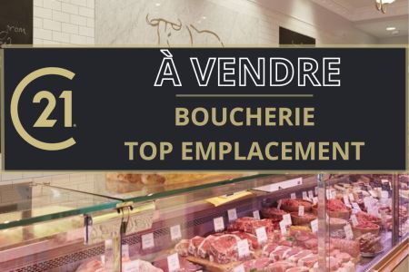 Galerie photo de l'annonce