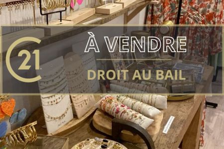 Galerie photo de l'annonce