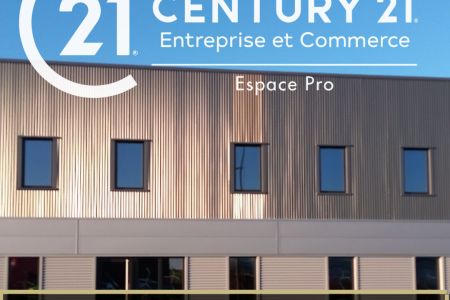 Galerie photo de l'annonce