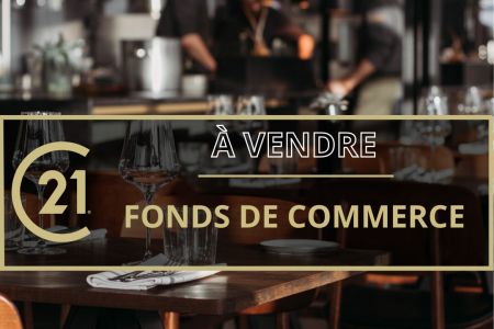 Galerie photo de l'annonce