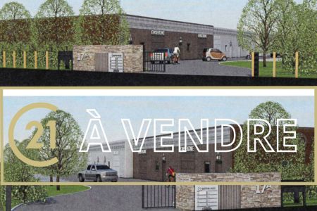 Galerie photo de l'annonce