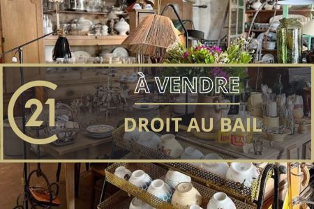 Galerie photo de l'annonce