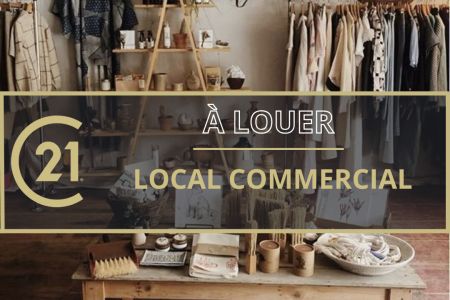 Galerie photo de l'annonce