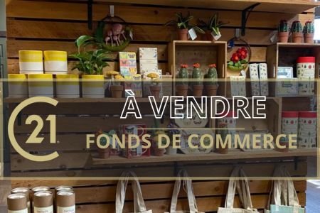 Galerie photo de l'annonce