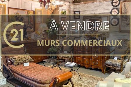 Galerie photo de l'annonce