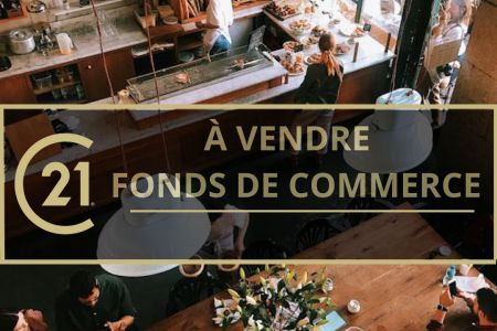 Galerie photo de l'annonce