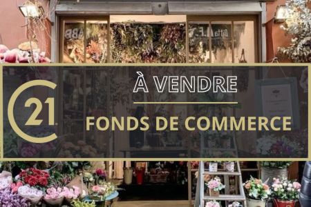 Galerie photo de l'annonce