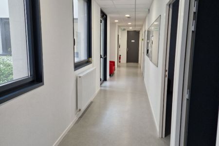 Galerie photo de l'annonce