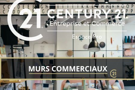 Galerie photo de l'annonce