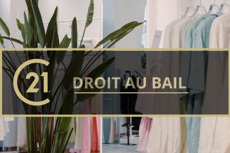 Galerie photo de l'annonce
