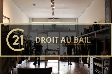 Galerie photo de l'annonce