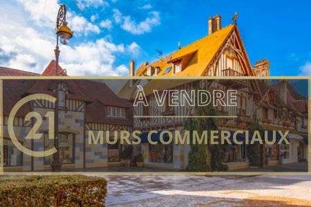 Galerie photo de l'annonce