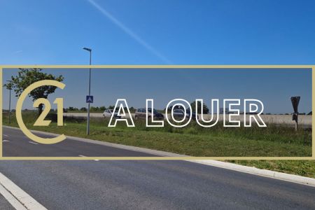 Galerie photo de l'annonce