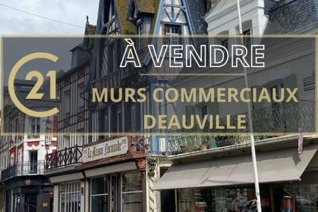 Galerie photo de l'annonce
