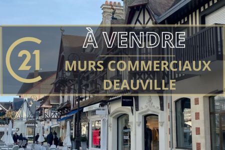 Galerie photo de l'annonce
