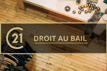 Galerie photo de l'annonce