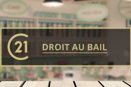 Galerie photo de l'annonce
