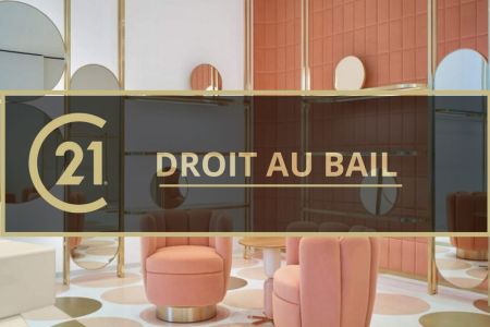 Galerie photo de l'annonce