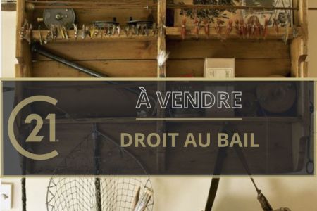 Galerie photo de l'annonce