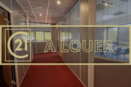Galerie photo de l'annonce