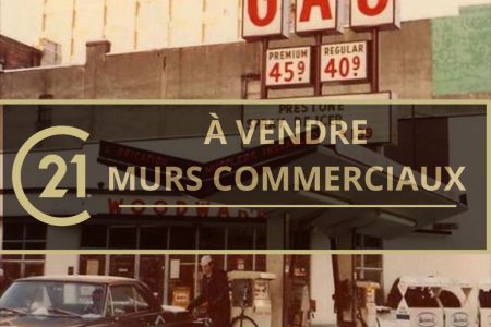 Galerie photo de l'annonce