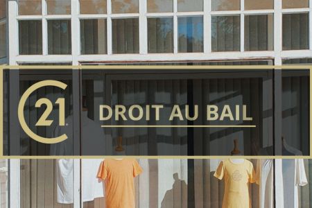 Galerie photo de l'annonce