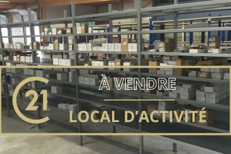 Galerie photo de l'annonce