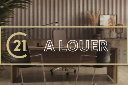 Galerie photo de l'annonce