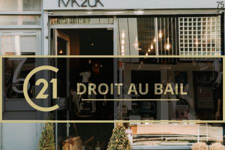 Galerie photo de l'annonce