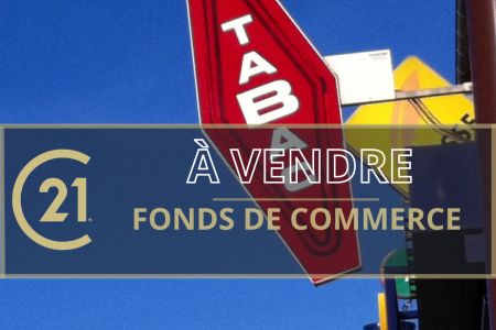 Galerie photo de l'annonce