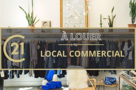 Galerie photo de l'annonce