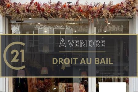 Galerie photo de l'annonce