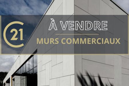 Galerie photo de l'annonce