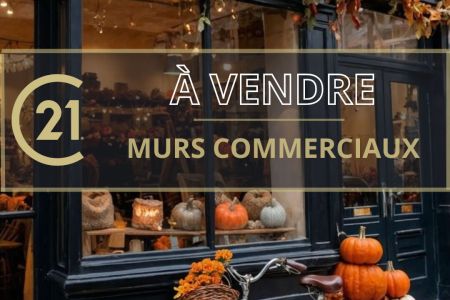 Galerie photo de l'annonce