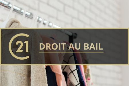 Galerie photo de l'annonce