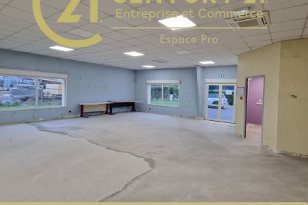Galerie photo de l'annonce