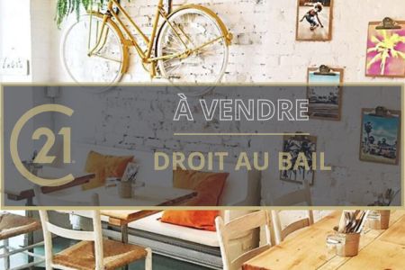 Galerie photo de l'annonce