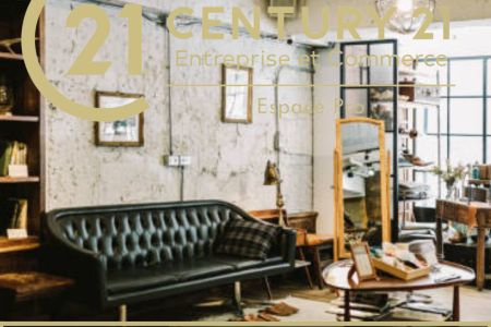 Galerie photo de l'annonce