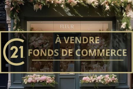 Galerie photo de l'annonce