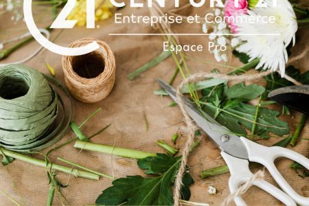 Galerie photo de l'annonce