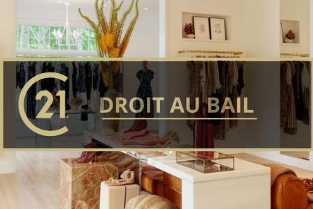 Galerie photo de l'annonce