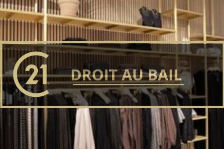 Galerie photo de l'annonce
