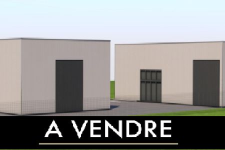 Galerie photo de l'annonce