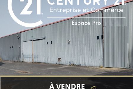Galerie photo de l'annonce