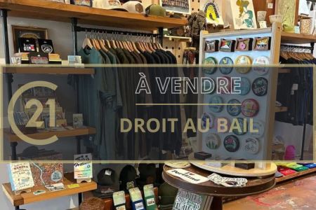 Galerie photo de l'annonce