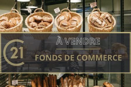 Galerie photo de l'annonce