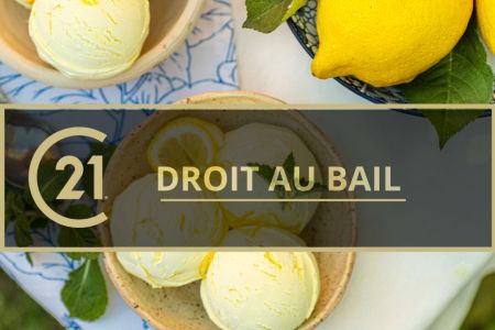 Galerie photo de l'annonce