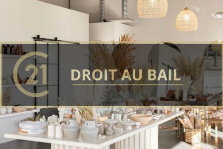 Galerie photo de l'annonce